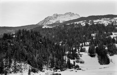 Rhaetian Railway 22.jpg