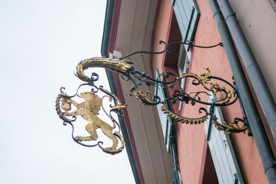 K7003904.jpg