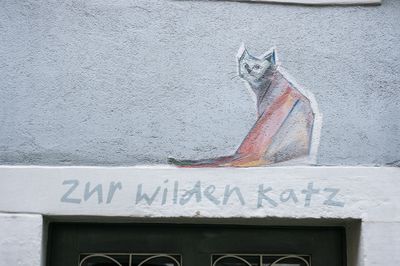 K7003911.jpg