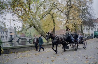 Bruges Q 02.jpg