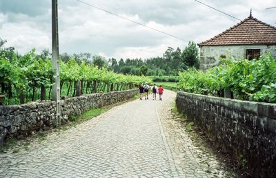 Ponte do Lima
