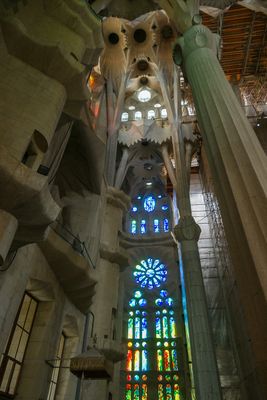 IMGP9080.jpg