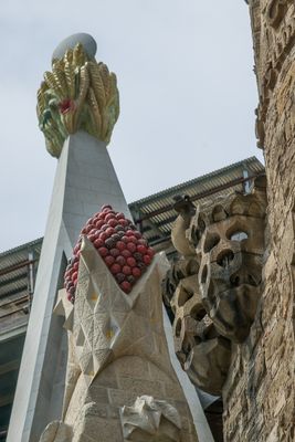 IMGP9043.jpg