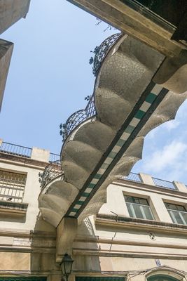 IMGP9794.jpg