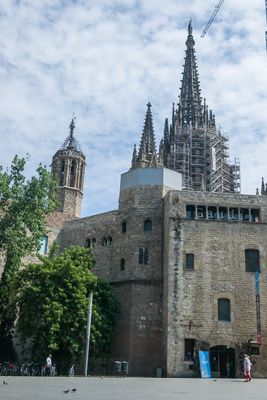 IMGP9807.jpg