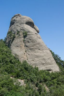 IMGP9382.jpg