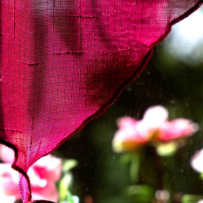 13 Fucsia