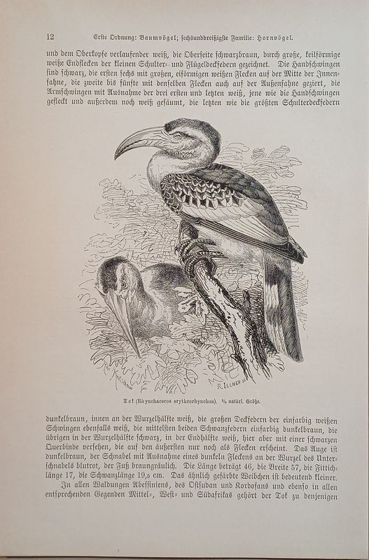 199c.jpg