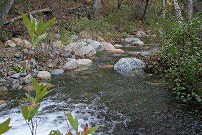 02BELL CREEK
