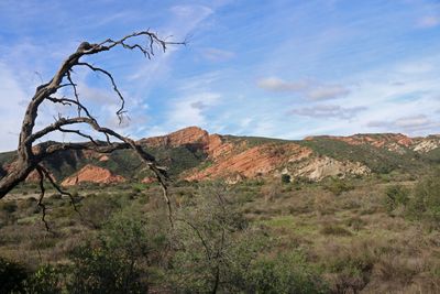 05 BLACK STAR CANYON