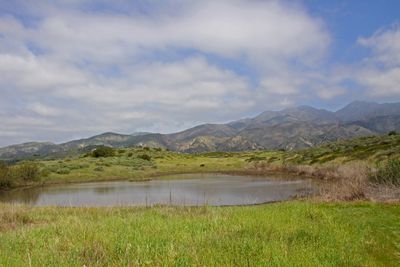 04 VERNAL POOL O'NEILL PARK 