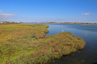 09 BOLSA CHICA WETLANDS 