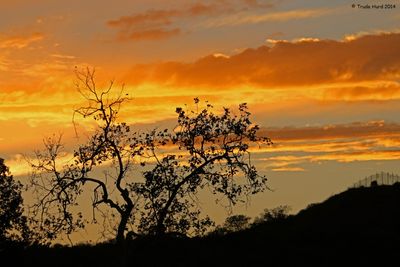 calendar_2020_habitats_of_orange_county