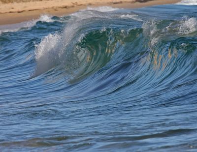 3 WAVE 
