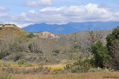 Casper's Wilderness Park in late spring