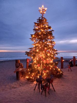 Sunset holiday tree