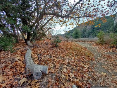 Path at Casper's Wilderness Park on last day of year