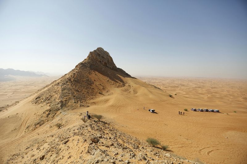 SAUDI-WEBSITE.jpg