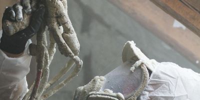 Untitled design - 1