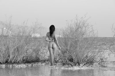 g13/91/868991/3/175419889.bc4798d4.JPEG