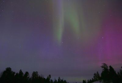 g13/91/964991/3/175347455.3f7c81b1.JPEG