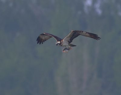 g13/91/964991/3/175423257.3c4b1f7c.JPEG