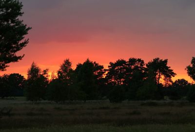Beuningerachterveld