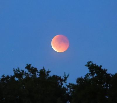 Bloedmaan - Blood Moon