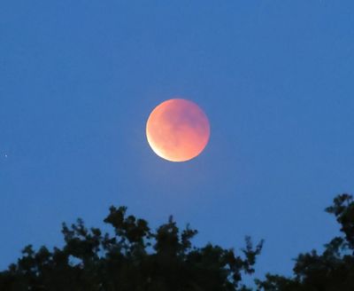 Bloedmaan - Blood Moon