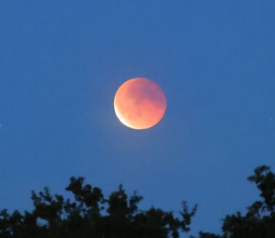 Bloedmaan - Blood Moon