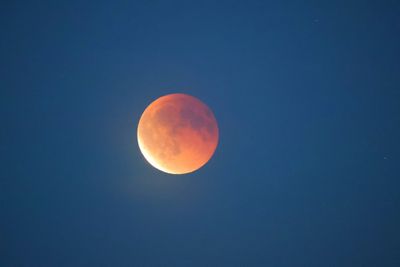 Bloedmaan - Blood Moon