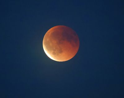 Bloedmaan - Blood Moon