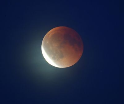 Bloedmaan - Blood Moon