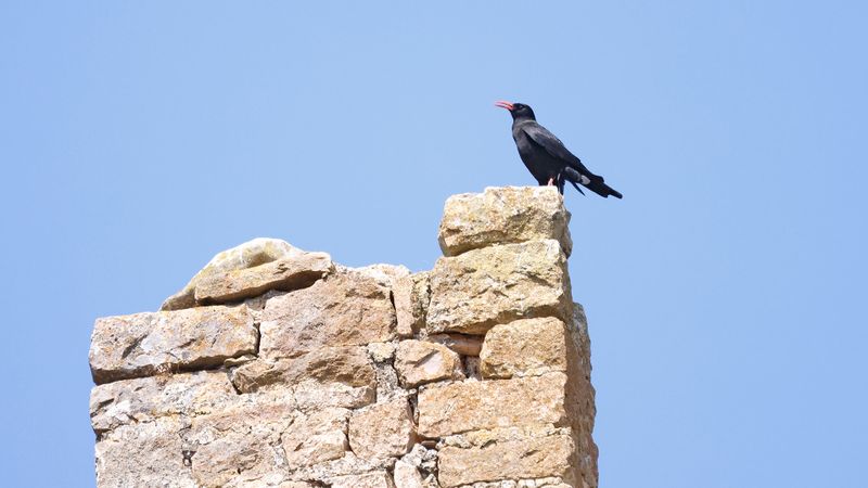 17mei_19_Alquezar.jpg