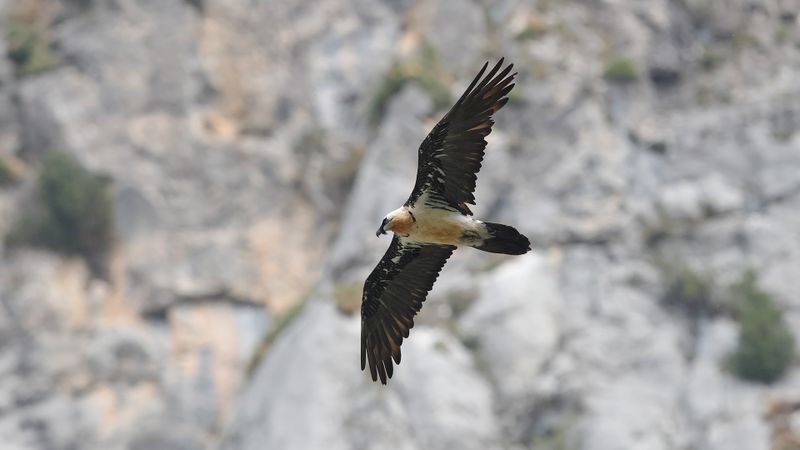 28mei_03_rio Cinqueta.jpg