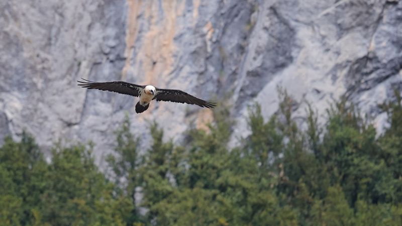 28mei_04_rio Cinqueta.jpg