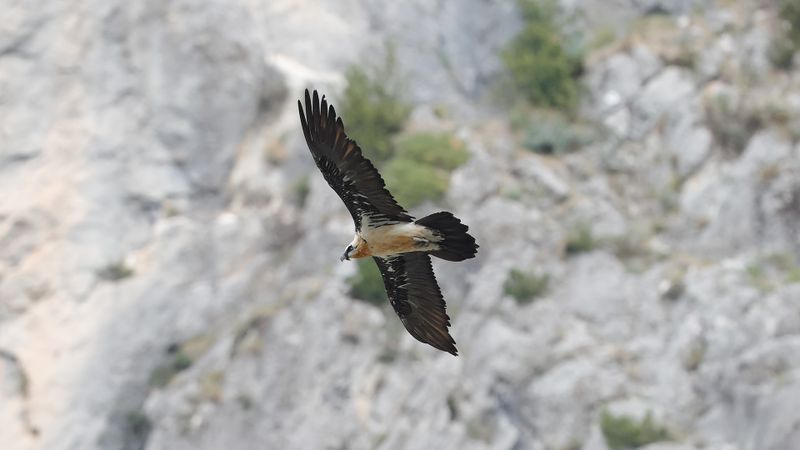 28mei_07_rio Cinqueta.jpg
