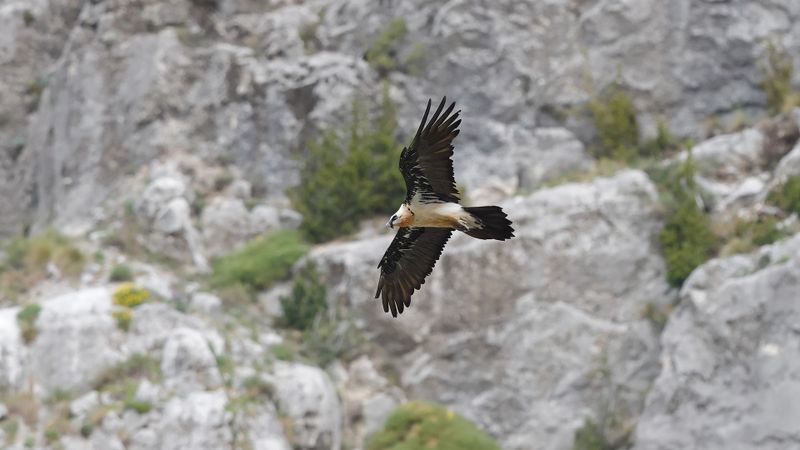 28mei_08_rio Cinqueta.jpg