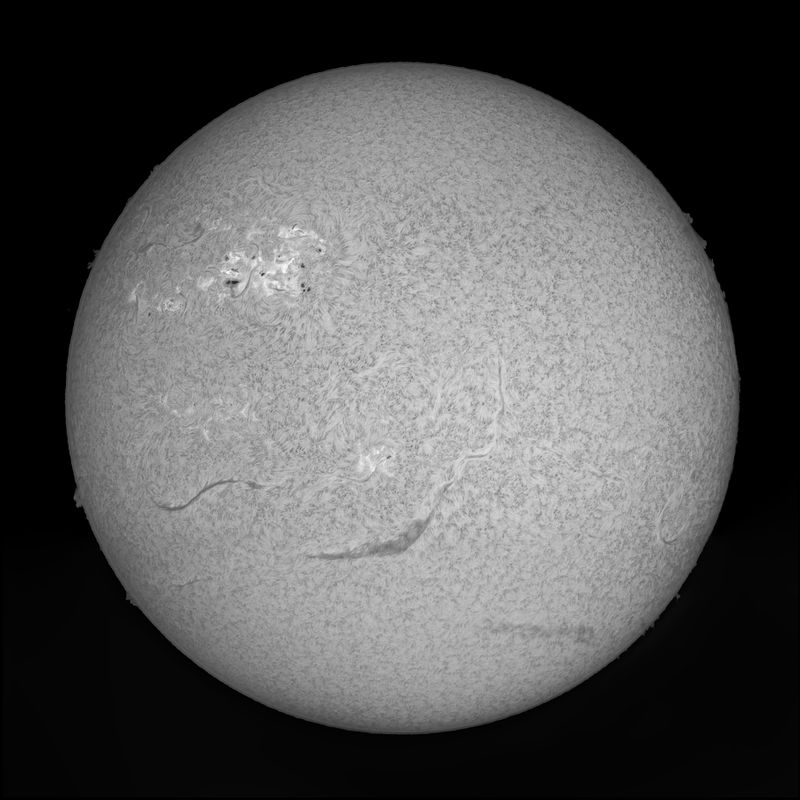 Zon_1feb2025.jpg