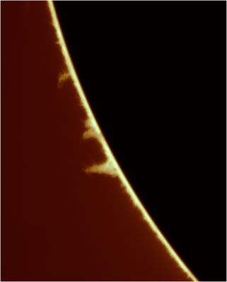 g13/92/1083792/3/175282394.ec5ef3e2.JPEG