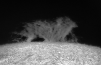 g13/92/1083792/3/175474676.a8edac6c.GIF