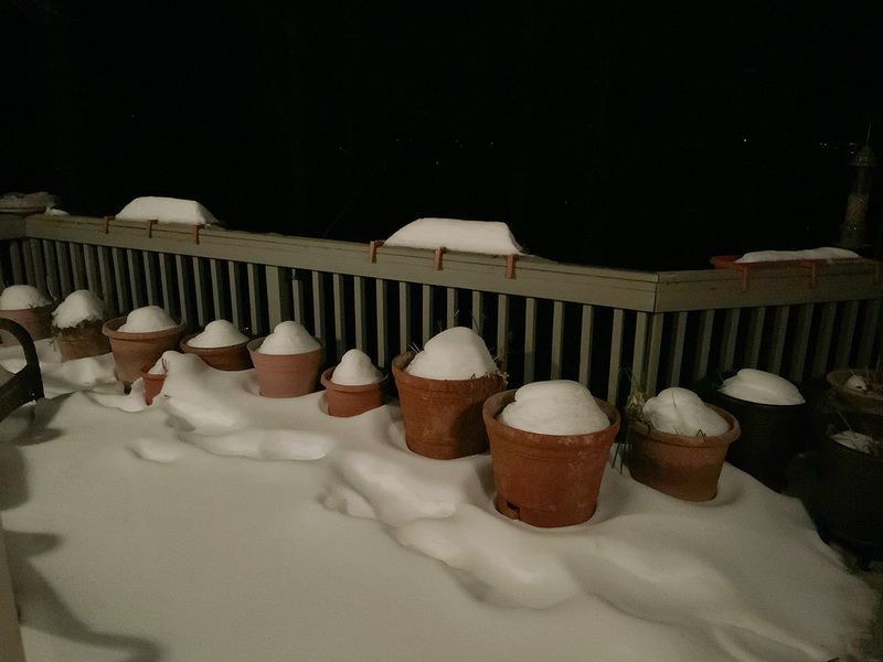 Night Snow