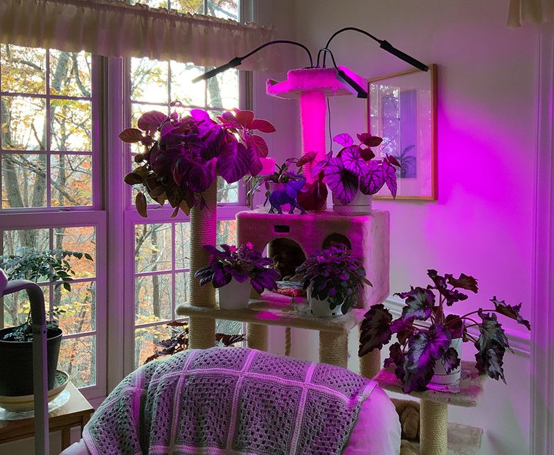 Bell and Howell Growburst Lights
