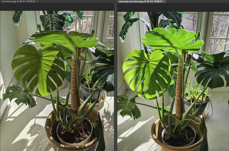Comparison