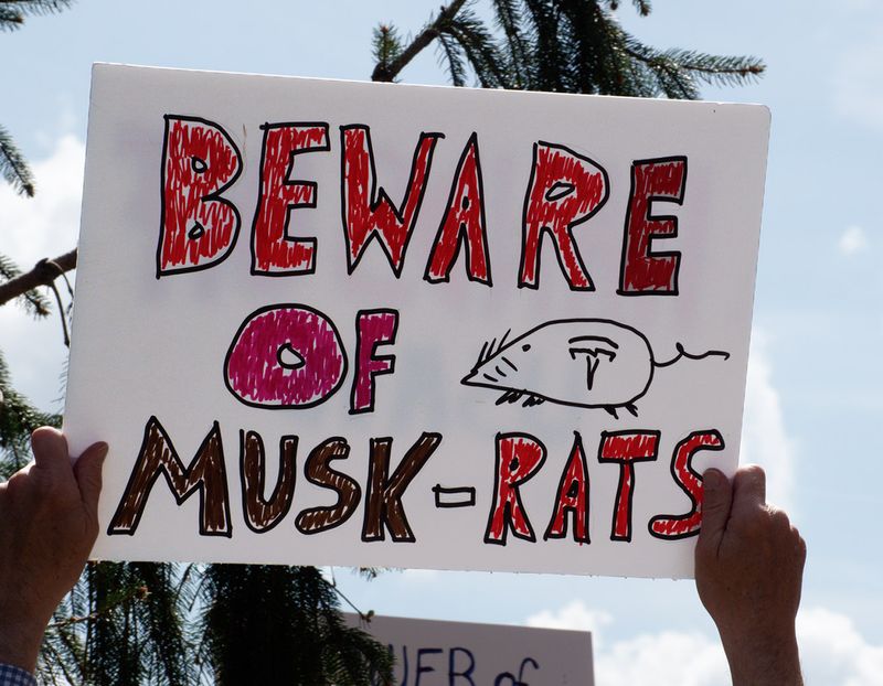 SRX01963DxO Beware of Musk Rats.jpg