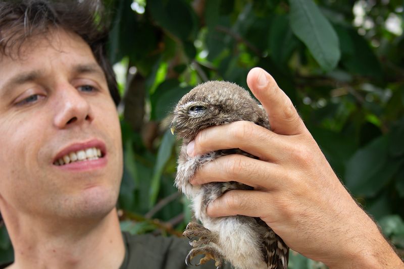 Birds in 2018