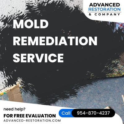 Mold remediation Coral Springs FL