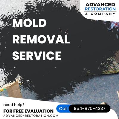 Mold remediation Coral Springs FL