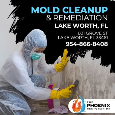 The Phoenix Restoration. Water Damage, mold Remediation, Biohazard clean up 954-866-8408