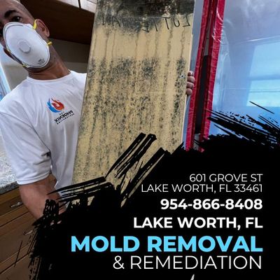 The Phoenix Restoration. Water Damage, mold Remediation, Biohazard clean up Lake Worth FL 954-866-8408